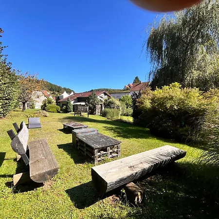 Sylvestre Privatif A * Meisenthal