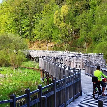 Sylvestre Privatif A