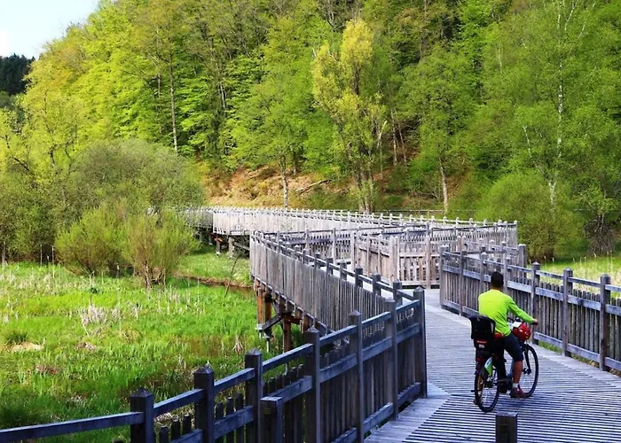 Sylvestre Privatif A