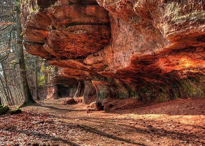 Sylvestre Privatif A